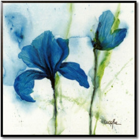 Lily I