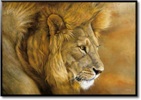Lion du Serengeti