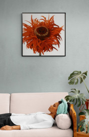 Orange Gerbera - Img 2