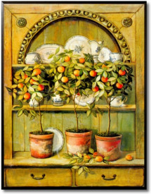 Orange Trees