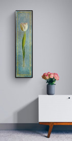 Tulipa - Img 2