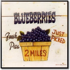 Blueberries Just Picked