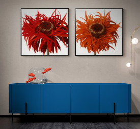 Orange Gerbera - Img 3