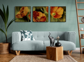 Tablou living flori - Coquelicots dans le Soleil I - Img 4