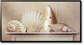 Tablou living tema marina - Sea Shells