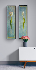 Tulipa - Img 3
