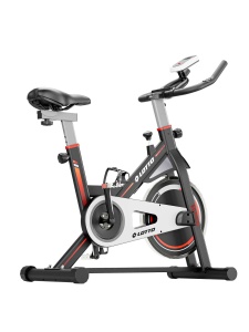 About the racing bike EGO 500 - Img 2