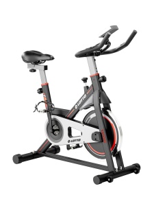 About the racing bike EGO 500 - Img 3
