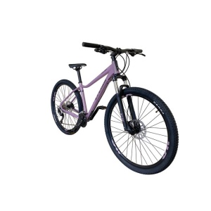 | bicycle CAUSA SL3 29" - Img 2