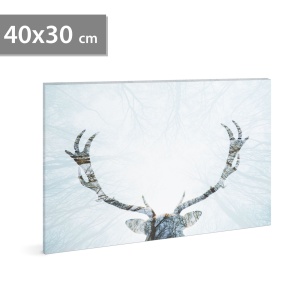 Tablou decorativ cu LED, motive ren - 2 x AA, 40 x 30 cm