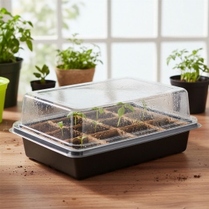 Tava Palantor cu dom transparent - 20 x 15 x 10 cm