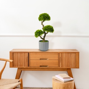 Decor artistic - bonsai - 55 x 27 cm