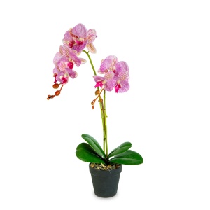 Decor plastic - orhidee - 2 tipuri - 54 cm - Img 2