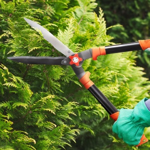 Cleme pentru gard viu - 200 mm
