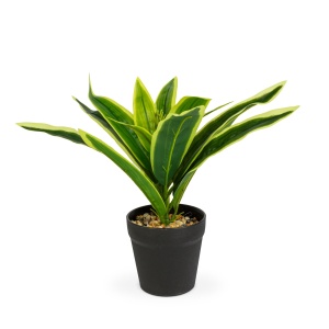 Decor plastic - șofrănel cu dungi - 20 x 8.5 cm - Img 2