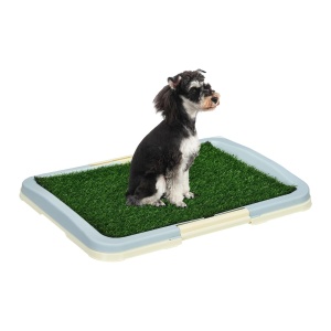 Puppy trainer - litiera catei