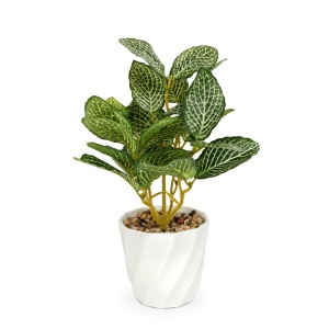 Decor din plastic - Fittonia - 20 x 9 cm - Img 2