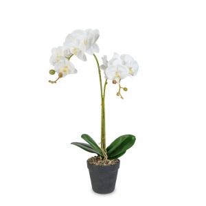 Decor plastic - orhidee - 2 tipuri - 54 cm - Img 3