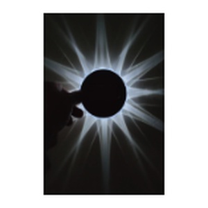 Lampa cu incarcare solara, model floare (set 4 buc)