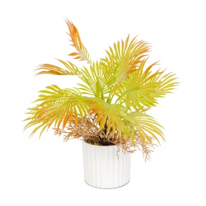 Decor artificial de plante palmier artificial - 22 x 8.5 cm - Img 2