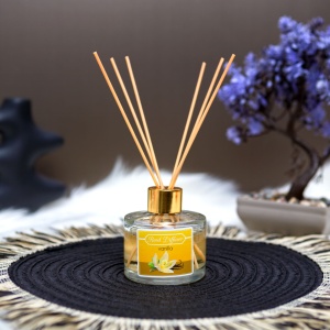 Stick de parfum - vanilie - 100 ml