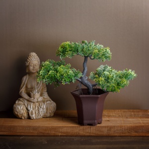 Decor artistic - lemn de bonsai - 25 x 9 cm