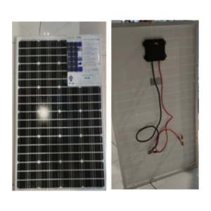 Invertor solar 100W