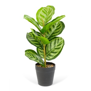 Decor plastic - frunze de zebra - verde - 34 x 9 cm - Img 2