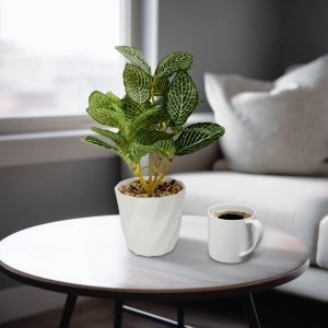 Decor din plastic - Fittonia - 20 x 9 cm