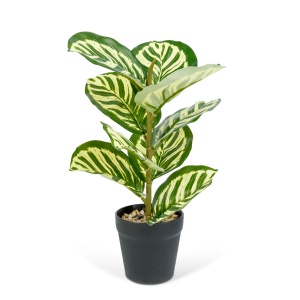 Decor plastic - frunze de zebra - verde - 34 x 9 cm - Img 2