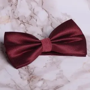 Papion Barbati - Bordo