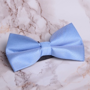 Papion Barbati - Baby Blue
