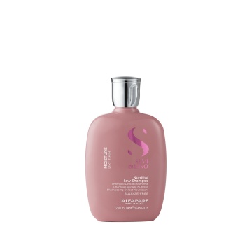 Sampon Moisture Nutritive Hidratare, 250 ml [4253]