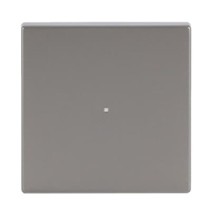 Maska tastera 1/1 FL Stainless steel