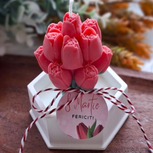 Buchet lalele parfumate din ceară de soia în recipient din ceramică- culoare roșie