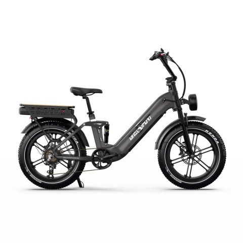 Onesport OT08 Pro Fat E-Bike | Dual Battery, 190 km | All4eBikes