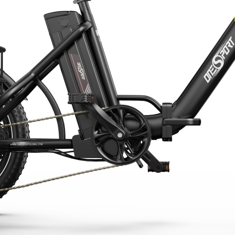 Onesport OT30 Pro – Cargo Electric Tricycle 48V 18Ah - Img 3