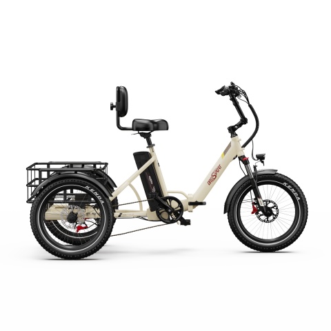 Onesport OT30 Pro – Cargo Electric Tricycle 48V 18Ah - Img 10