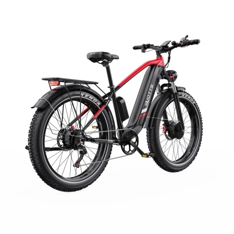 DUOTTS F26 2x750W 48V 20Ah - Img 5