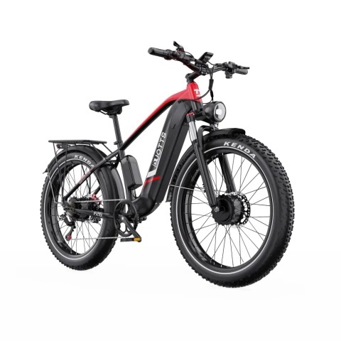 DUOTTS F26 2x750W 48V 20Ah - Img 2