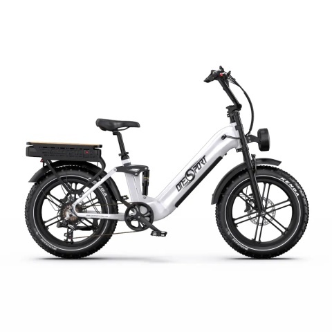 Onesport OT08 Pro Fat E-Bike | Dual Battery, 190 km | All4eBikes - Img 2