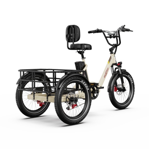 Onesport OT30 Pro – Cargo Electric Tricycle 48V 18Ah - Img 11