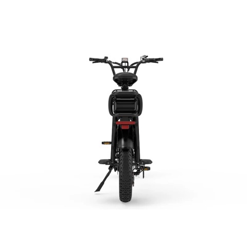 KOOLUX X8 48V 65AH Cargo Electric Bike - Img 10