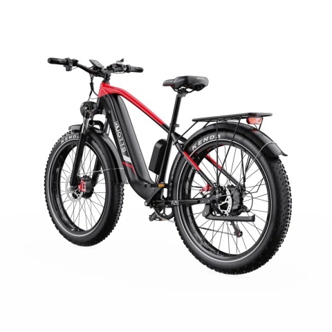 DUOTTS F26 2x750W 48V 20Ah - Img 3