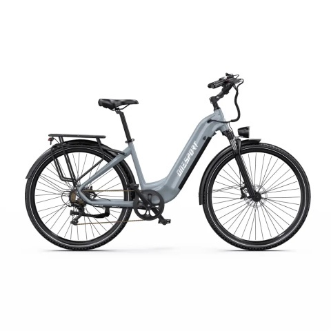 ONESPORT OT05 Pro 250W 36V 22.5Ah