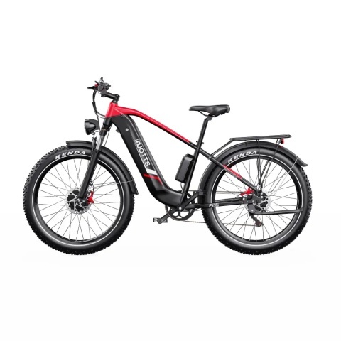 DUOTTS F26 2x750W 48V 20Ah - Img 7