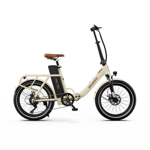 ONESPORT OT16 250W 48V 17Ah