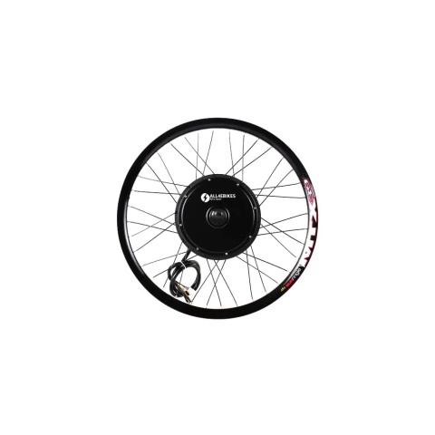 Brushless 250W rear hub motor stator front view 36V e-bike conversion motor