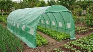 Solar pentru gradina 8x4x2m Mesterino tools MTGH-084 - Img 3