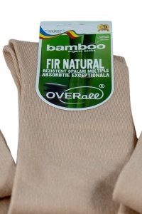 Bamboo - Img 6